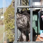 Mi Casita カントリーハウス ロンダ