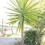 Mi Casita * ロンダ